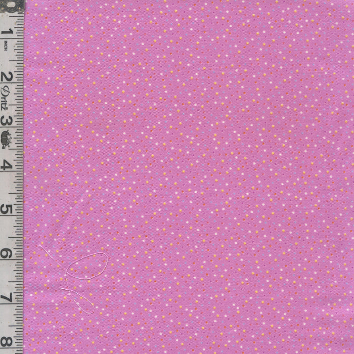 Country Confetti - Pansy Bright Purple