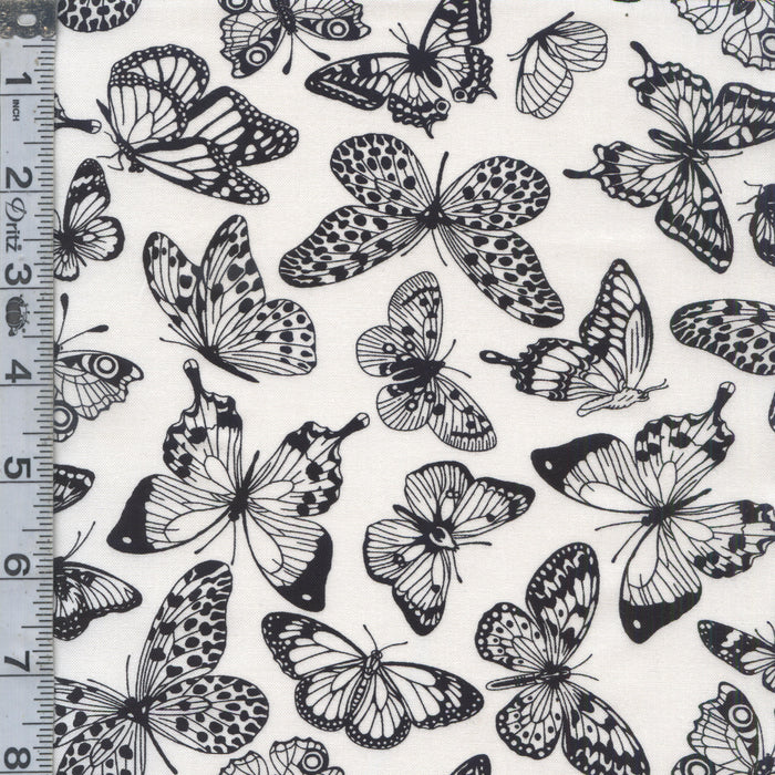 All or Nothing - Butterfly Black/White