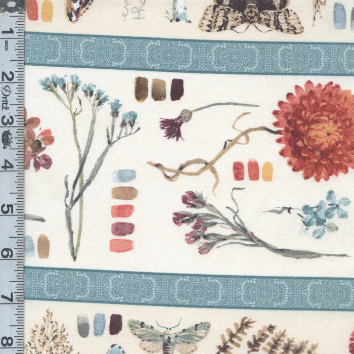 Season's Study - Stripe Cream