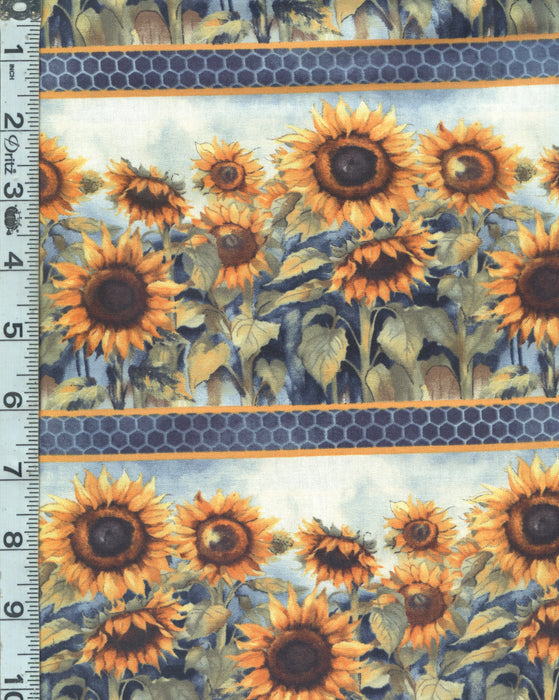 Sunkissed - Sunflower Border Stripe Multi