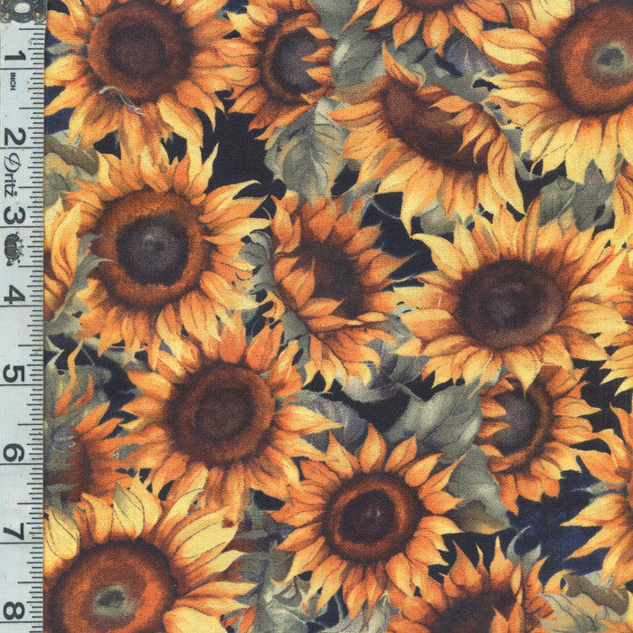 Sunkissed - Packed Sunflowers Black