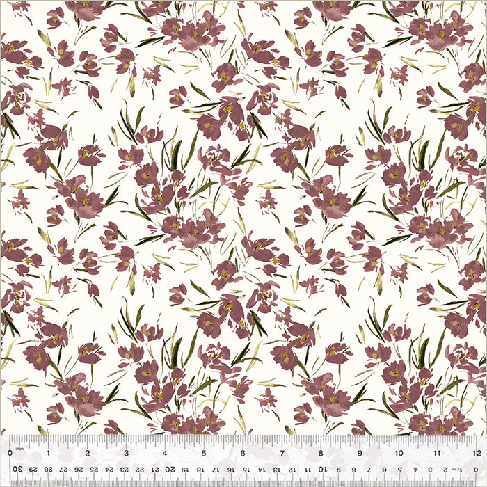 Perennial - Peony Tulip Ivory