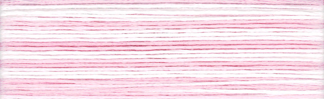 Cosmo Seasons Embroidery Floss - 8004