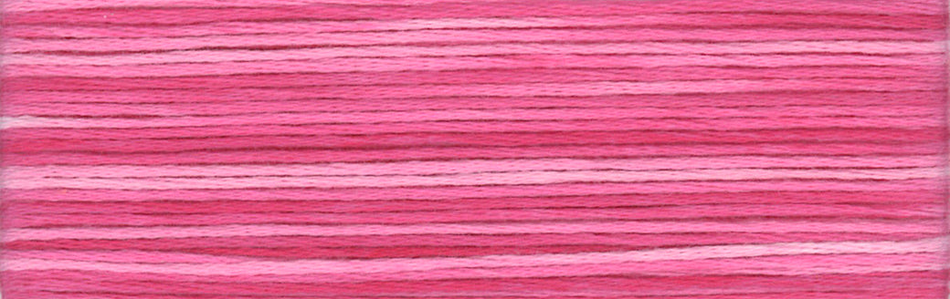 Cosmo Seasons Embroidery Floss - 8008