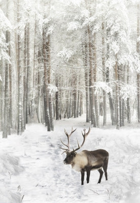 Call Of The Wild Digital Print Panel - Moose Powder