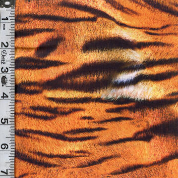 Animal Kingdom 108" Wide Sateen - Tiger Print Wild