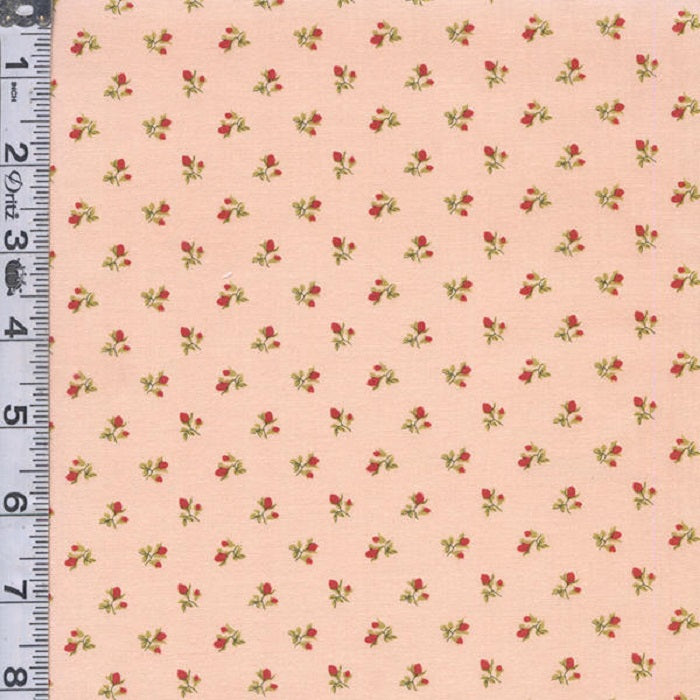 Sweet Liberty - Roses Bloom