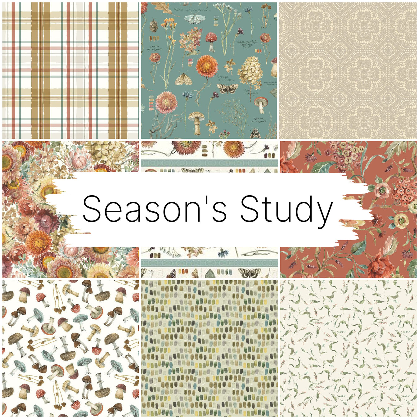 Season's Study