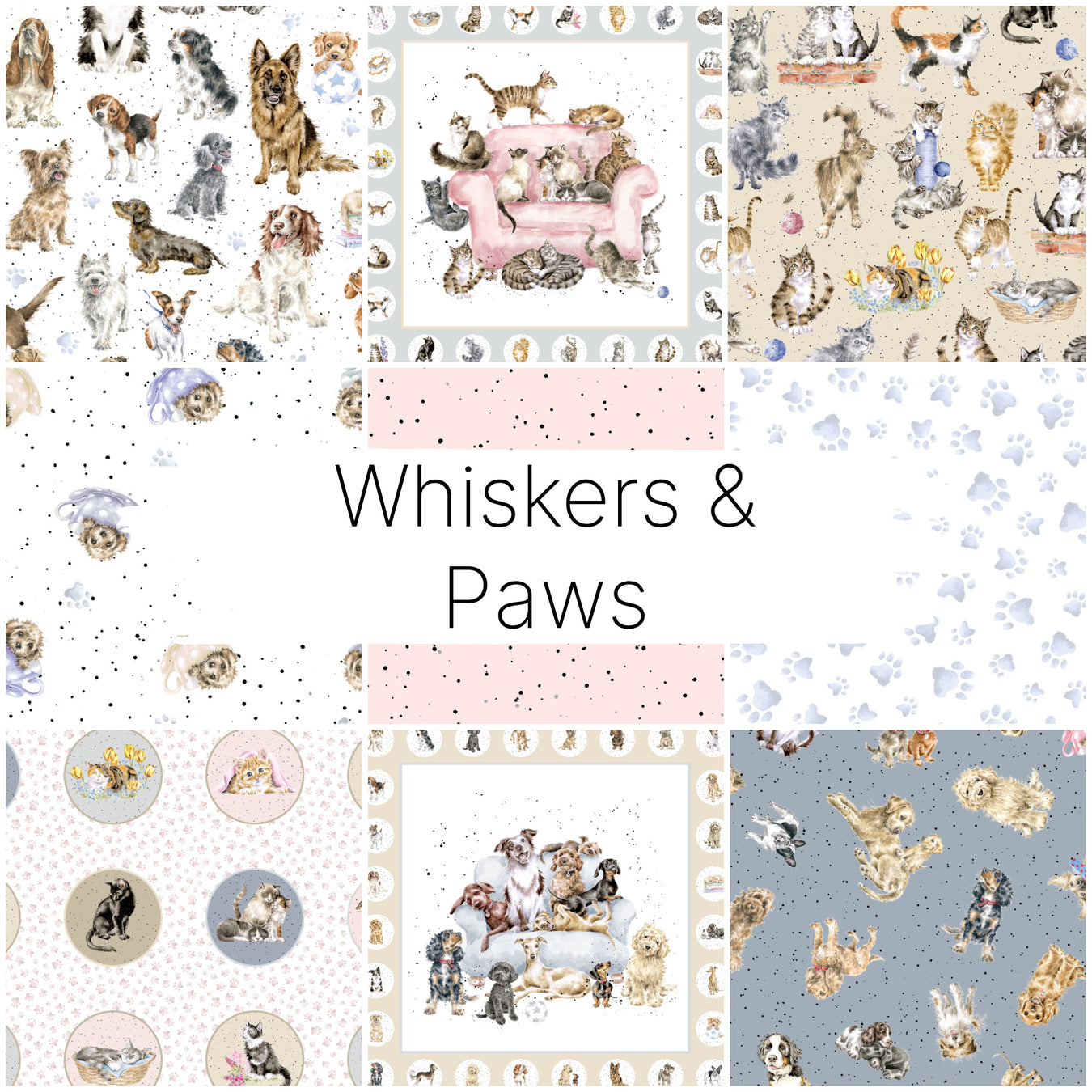 Whiskers & Paws
