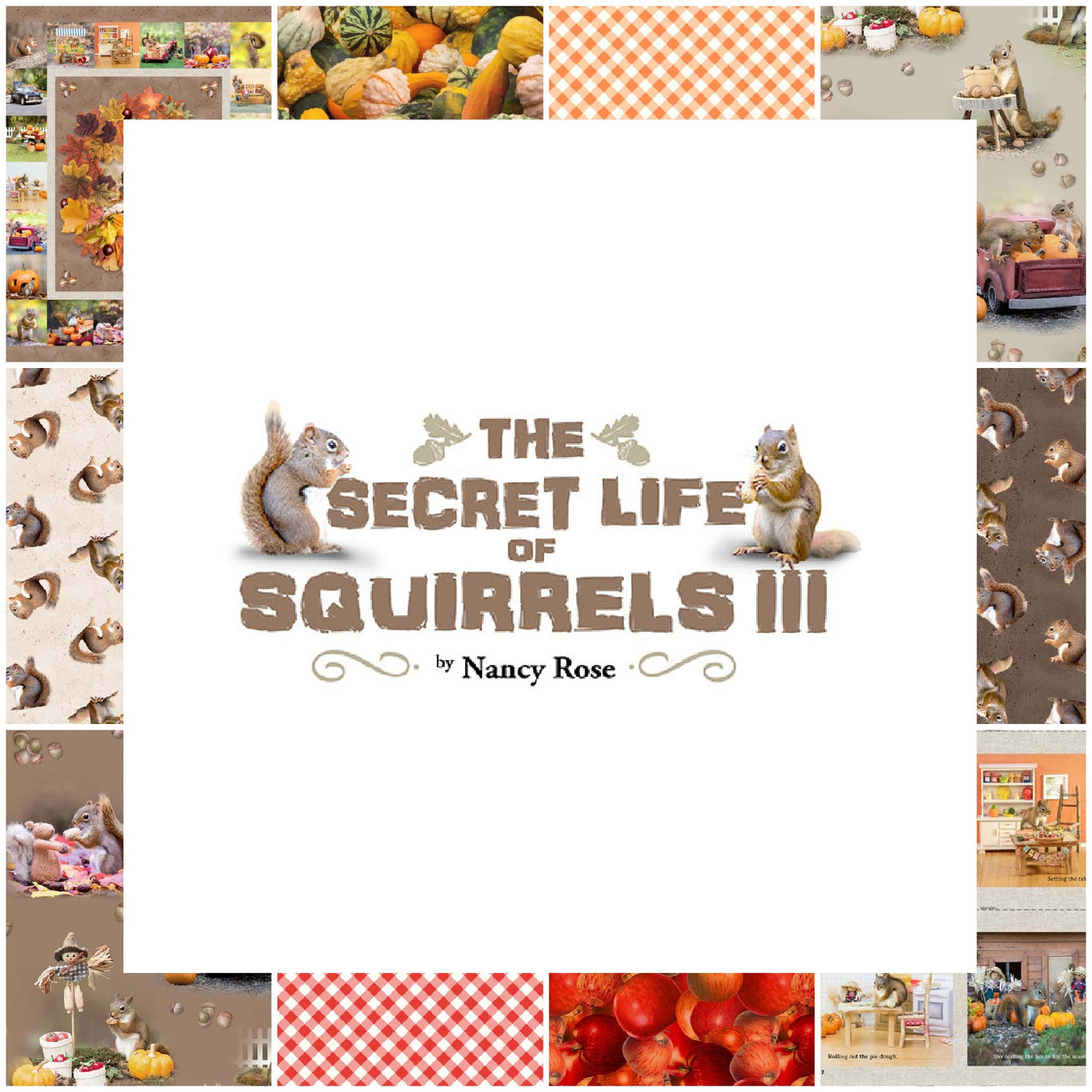 The Secret Life of Squirrels III