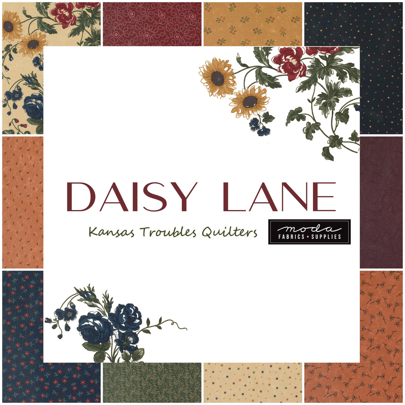 Daisy Lane