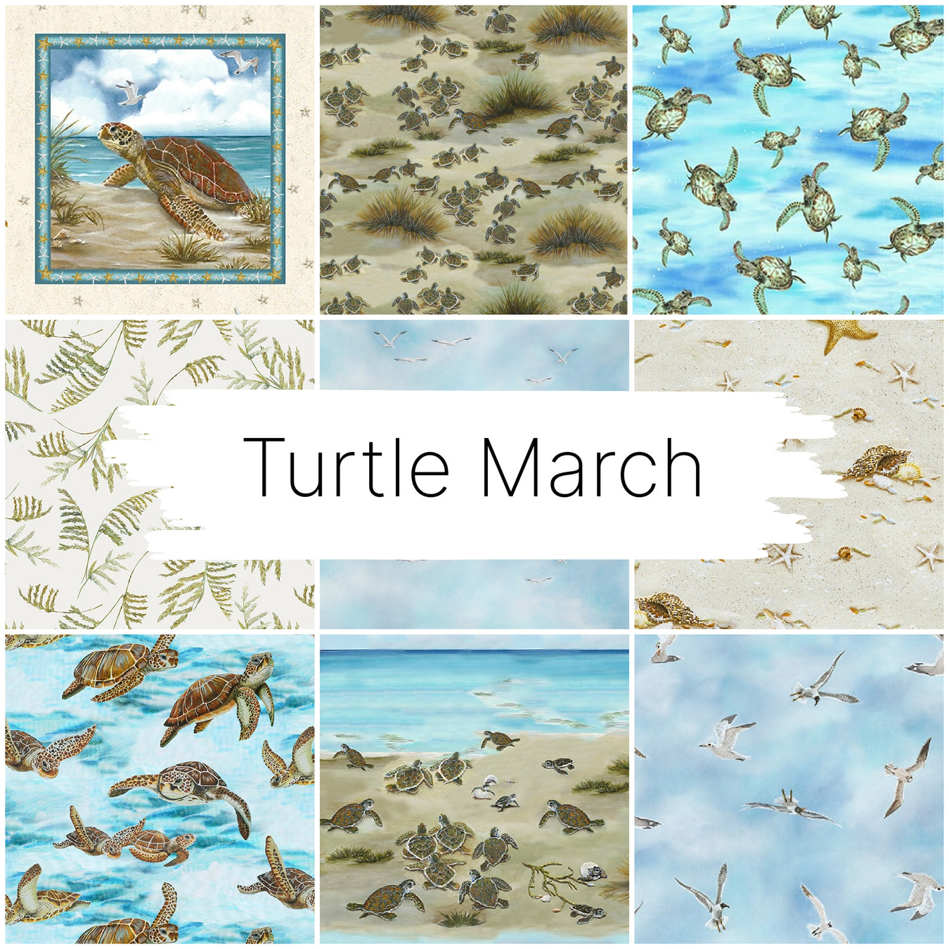 Turtle March