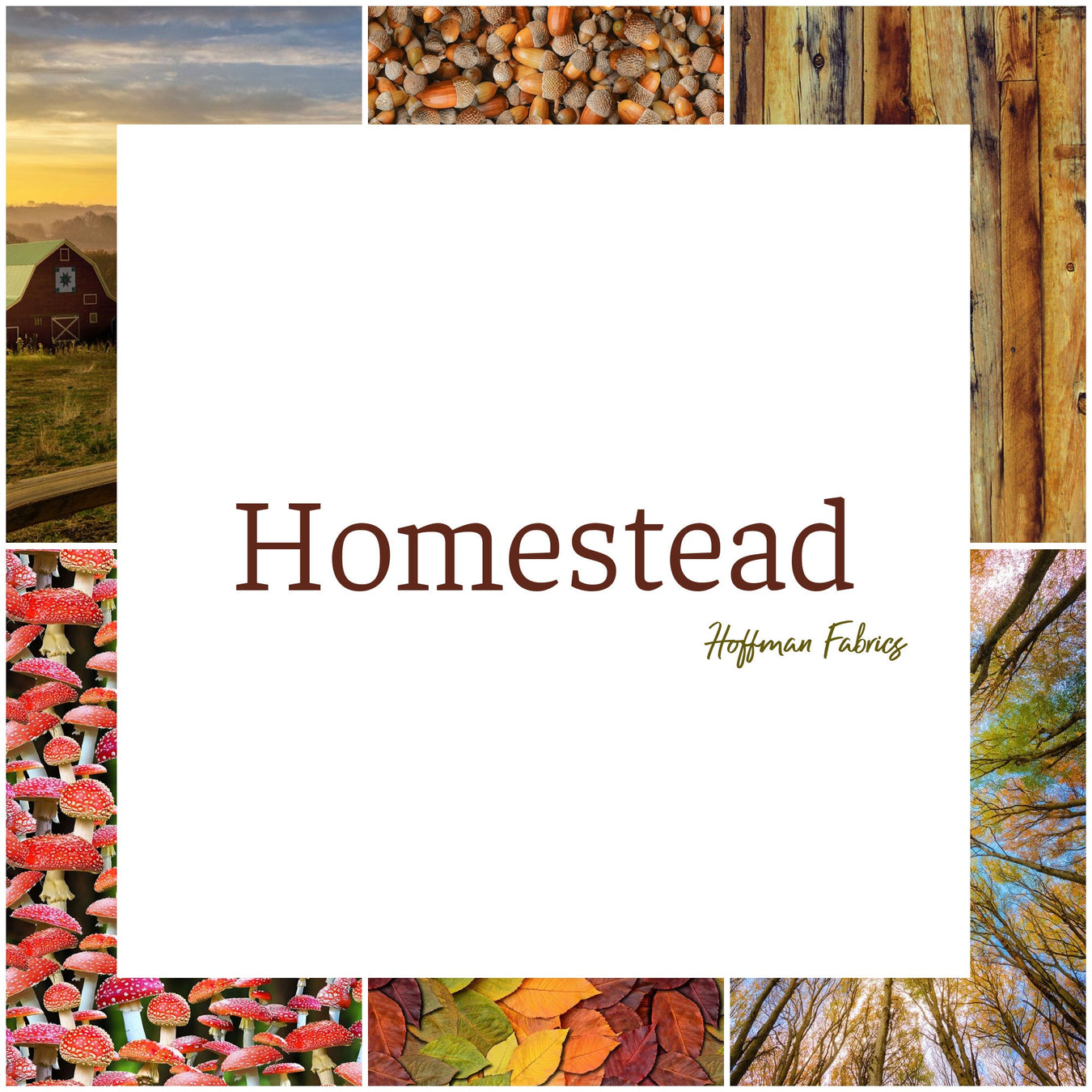 Homestead