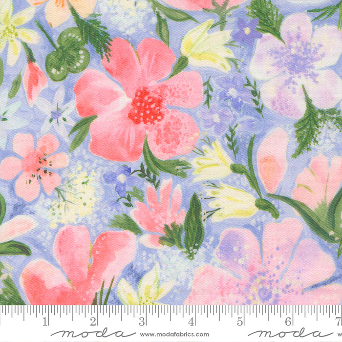 Sweet Cecily - Meadow Hyacinth