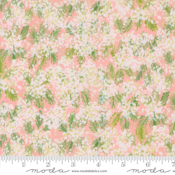 Sweet Cecily - Queen Anne Rose
