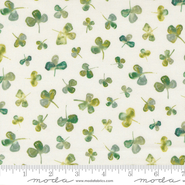 Sweet Cecily - Clover Lily