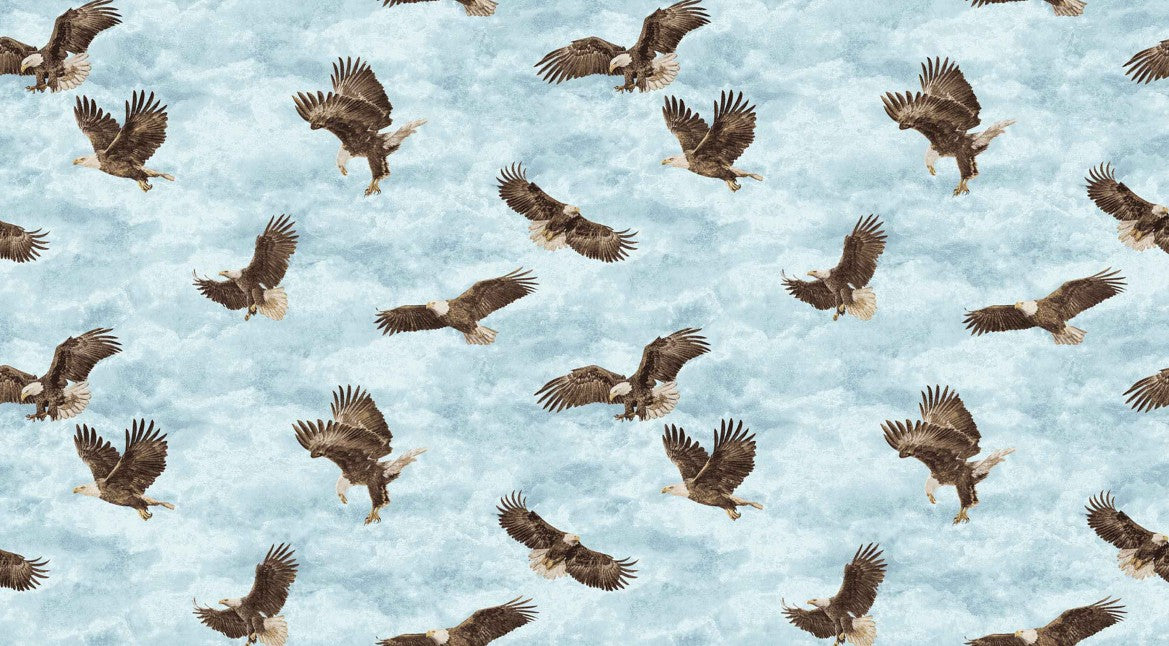 Stonehenge Eagle Pass - Flying Eagles Blue