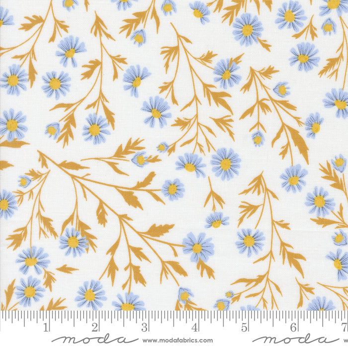 Sun Drenched - Wild Daisy Chain Cloud