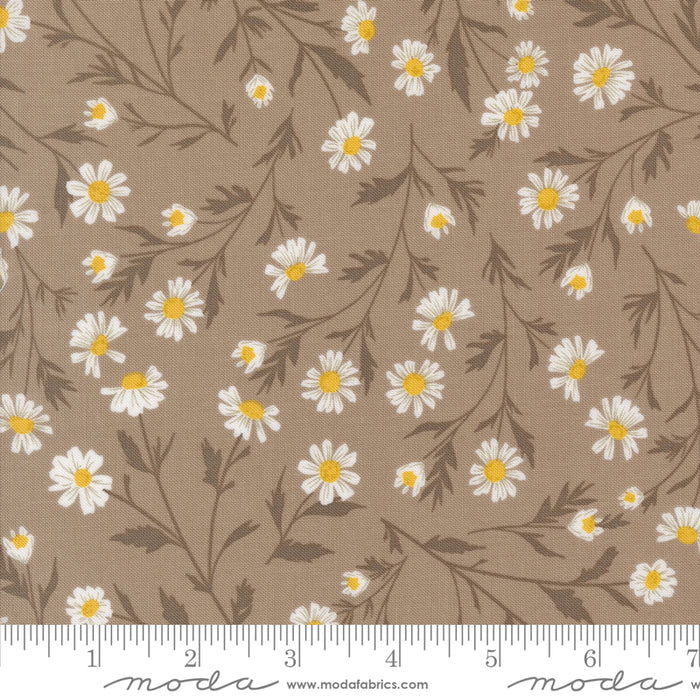 Sun Drenched - Wild Daisy Chain Stone