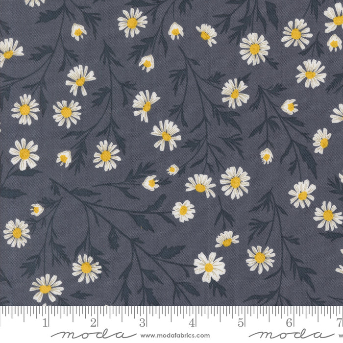 Sun Drenched - Wild Daisy Chain Indigo