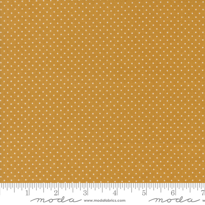 Sun Drenched - Pindot Golden