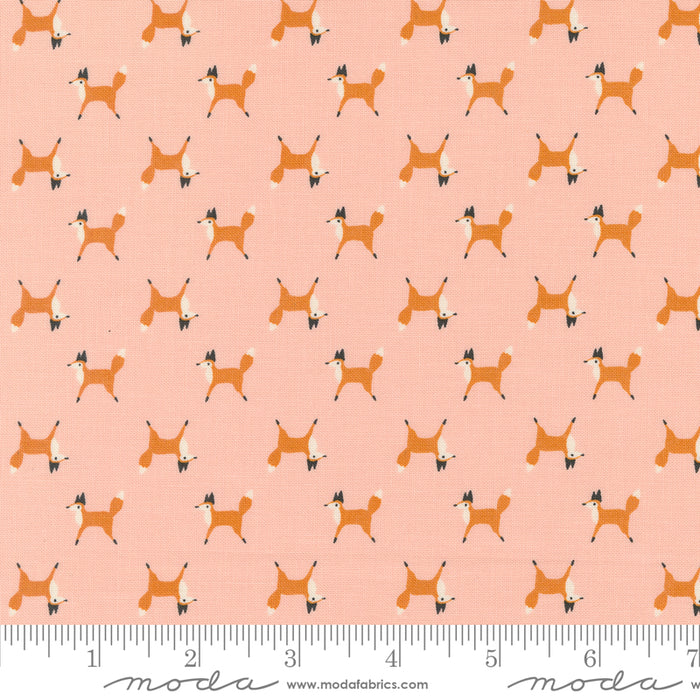 Woodland Wonder: Fox Trot in Blush Woodland Wonder: Fox Trot in Blush