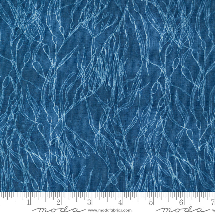 Serena Shores - Seaweeds Coastal