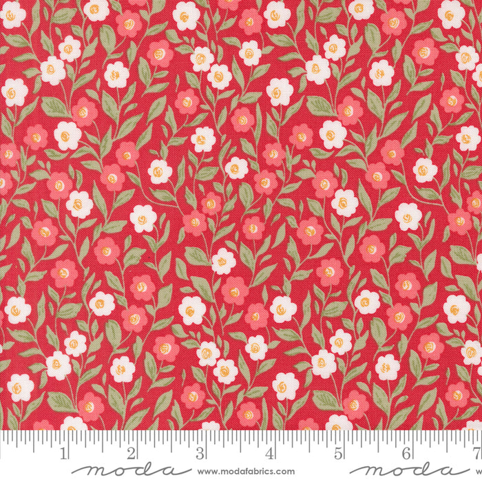Love Blooms - Cupid Floral Rose