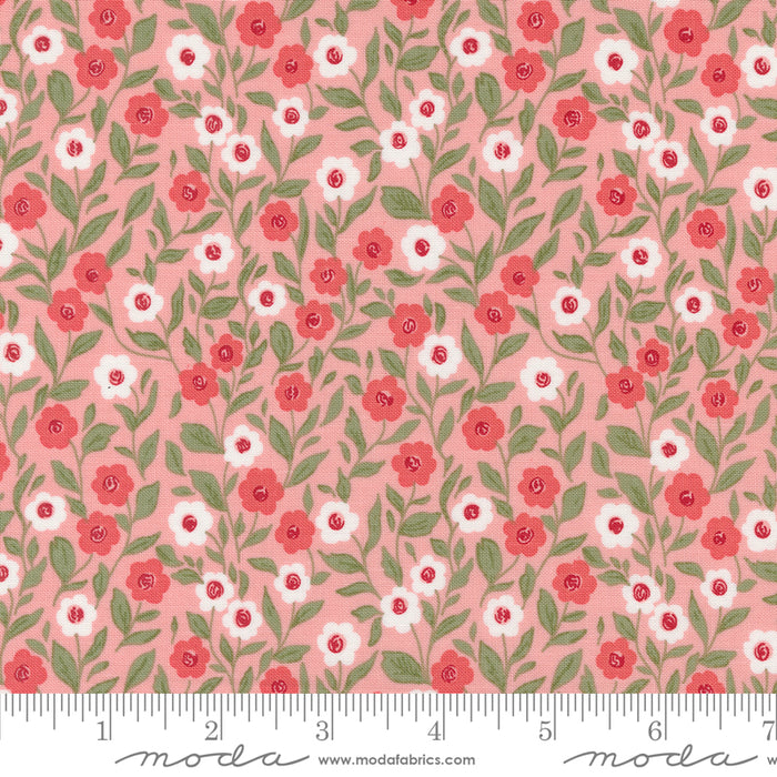 Love Blooms - Cupid Floral Blush