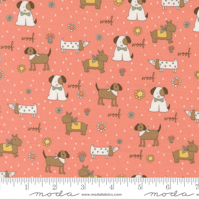 Lucky - Puppy Parade Flower