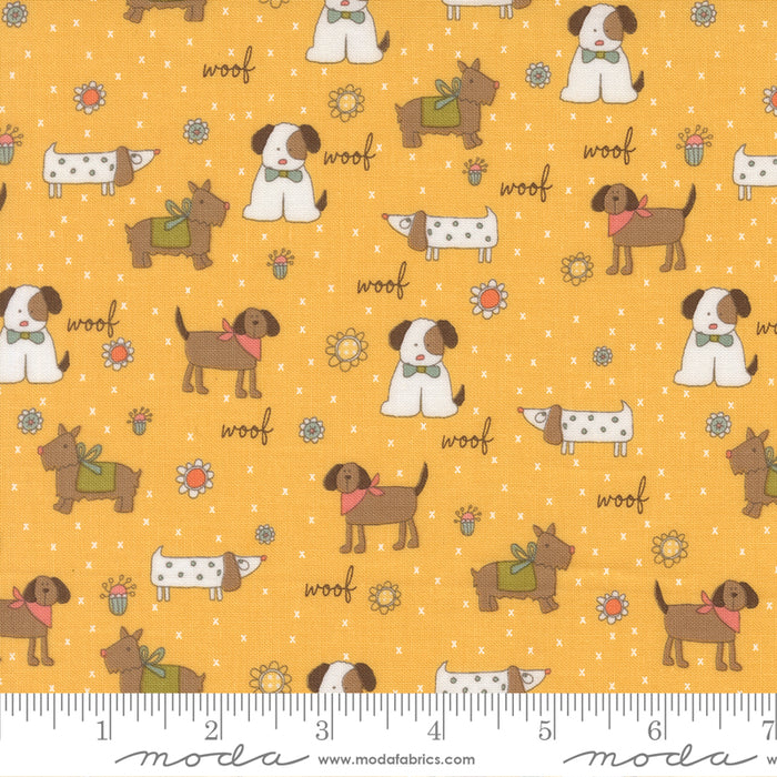 Lucky - Puppy Parade Sun