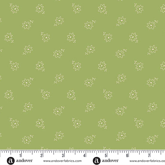 Itsy Bits - Aster Pistachio