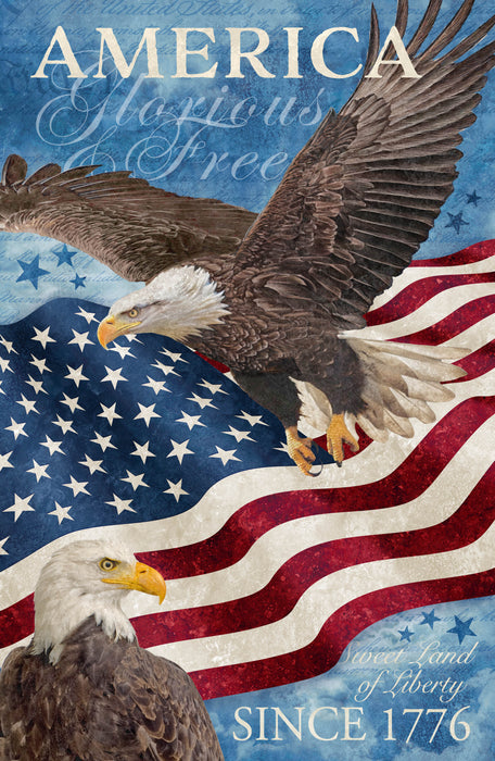 Stars & Stripes 13 - Panel Multi