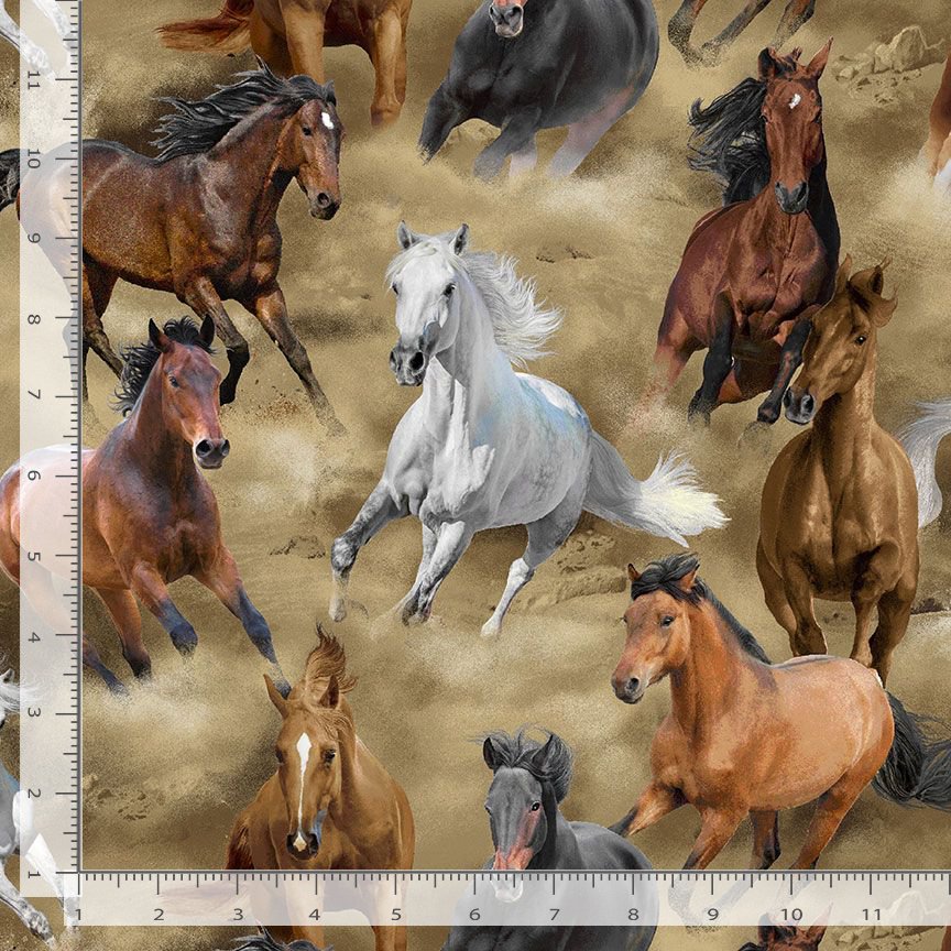 Wild Horses