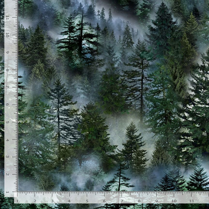 Misty Mountain - Evergreen Forest