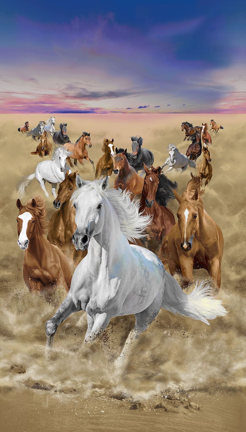Wild Horses