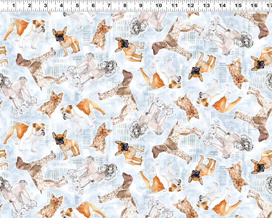 Best Friends - Tossed Dogs Light Denim
