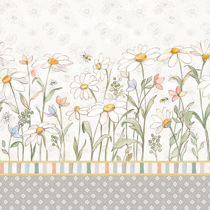 Daisy Field - Double Border White