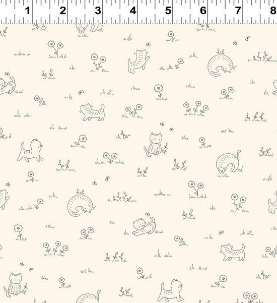 Kitten Fun - Playful Cream