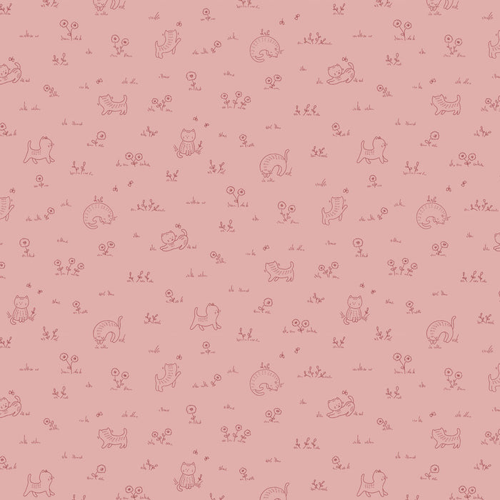 Kitten Fun - Playful Pink