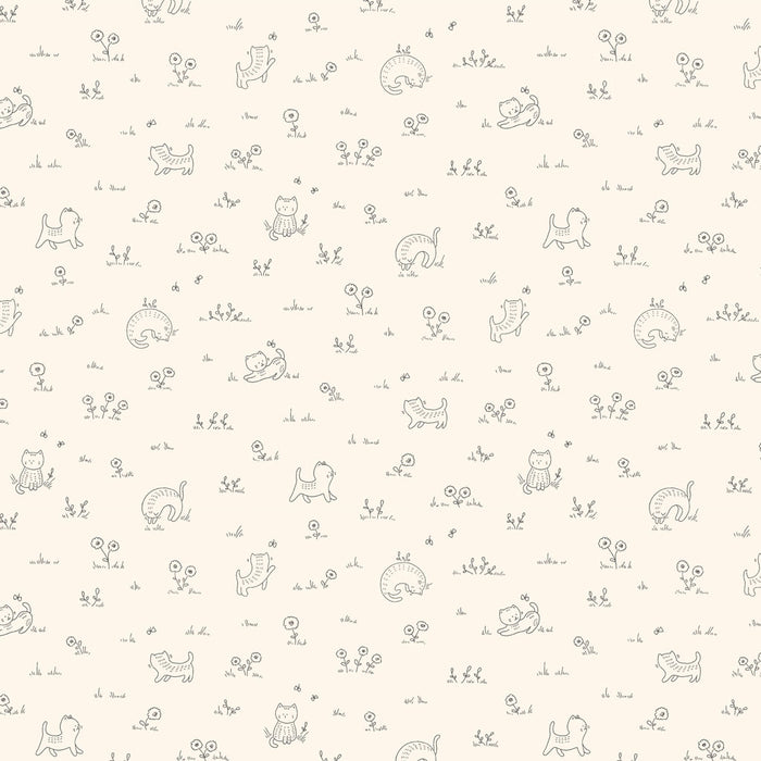 Kitten Fun - Playful Cream