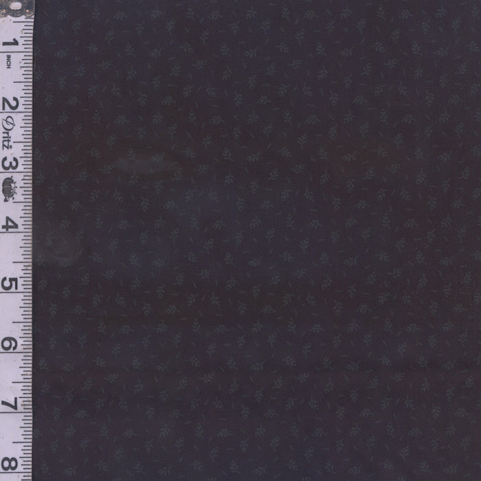 Century Black on Black II - Fern