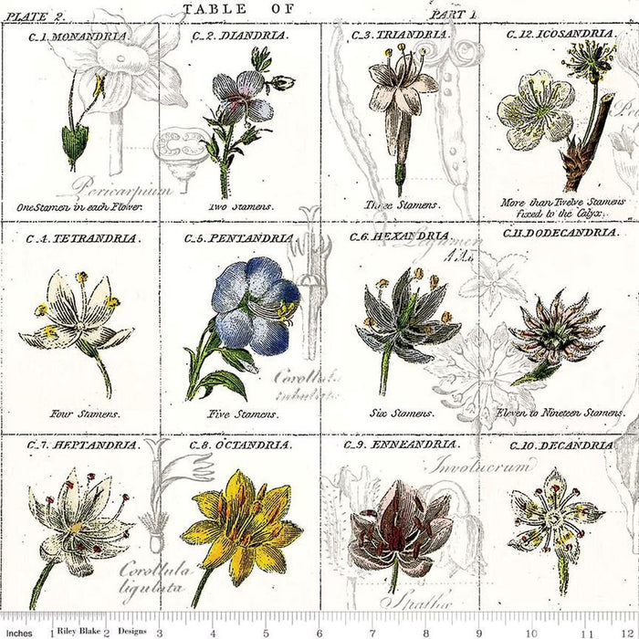 Sewing Seeds III - Flower Classes White