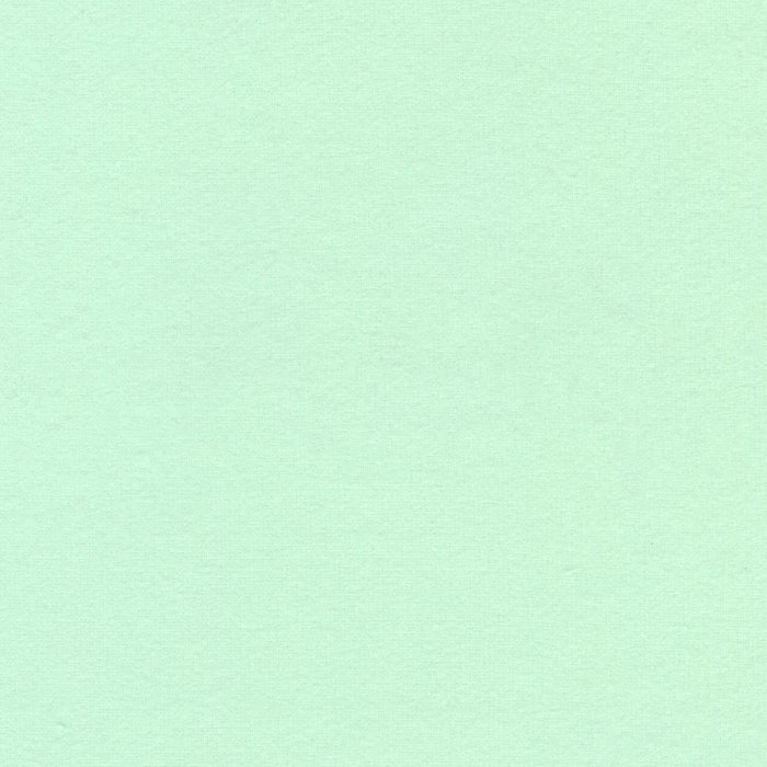Flannel Solid - Fresh Dew