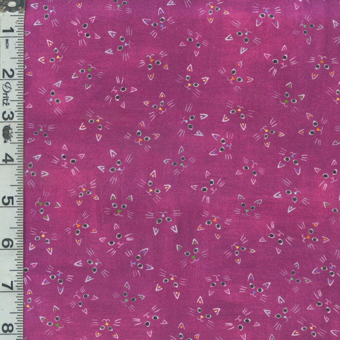 Whisker Wonderland - Cat Faces Petunia
