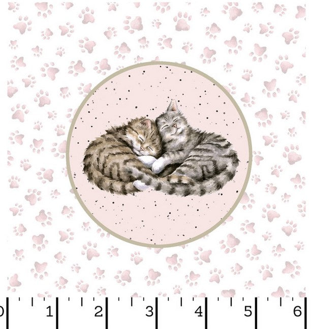 Whiskers and Paws Running Circles Cats Whiskers and Paws Running Circles Cats