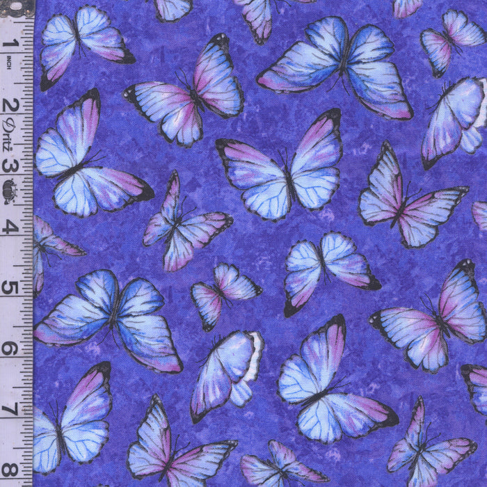 Rhapsody In Blue - Butterflies Purple