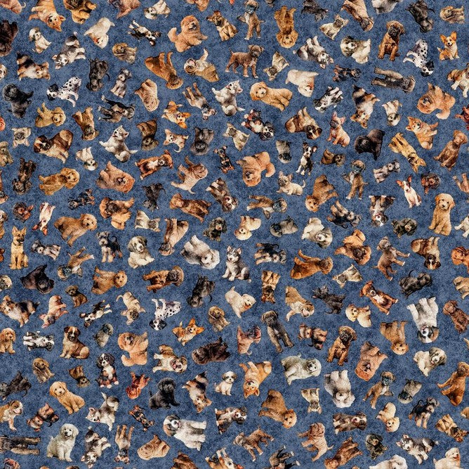 QT Cuties 2 - Puppy Toss Denim