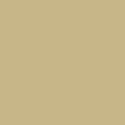 Flannel Solid - Tan