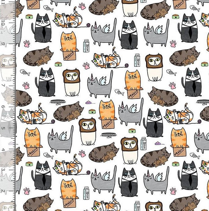 Quirky Cats